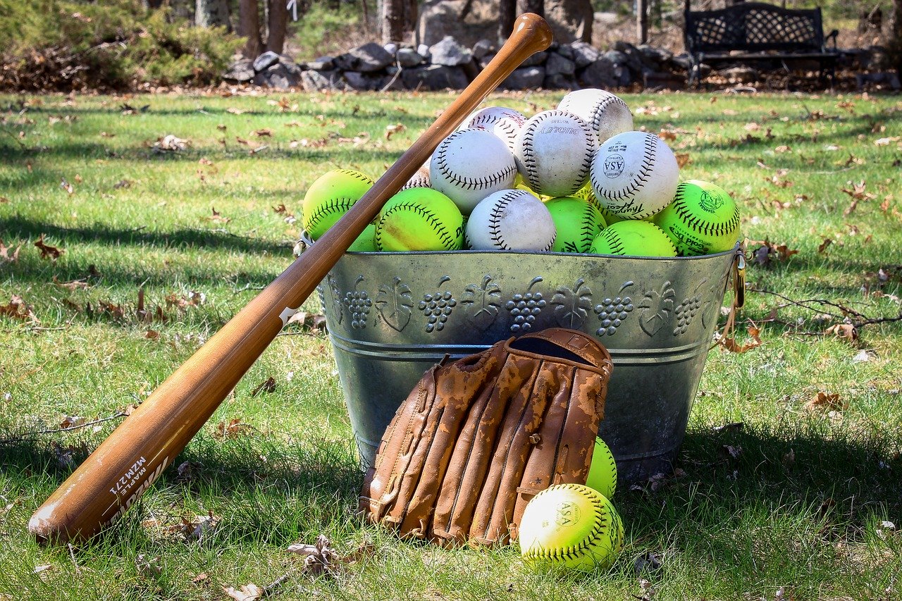 Ball Grass Game Sport Recreation - Ogutier / Pixabay
